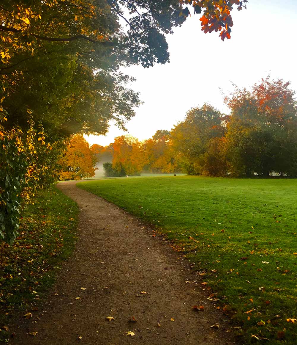 Scenic Footpath near Hillfuxe Apartments in Abuja